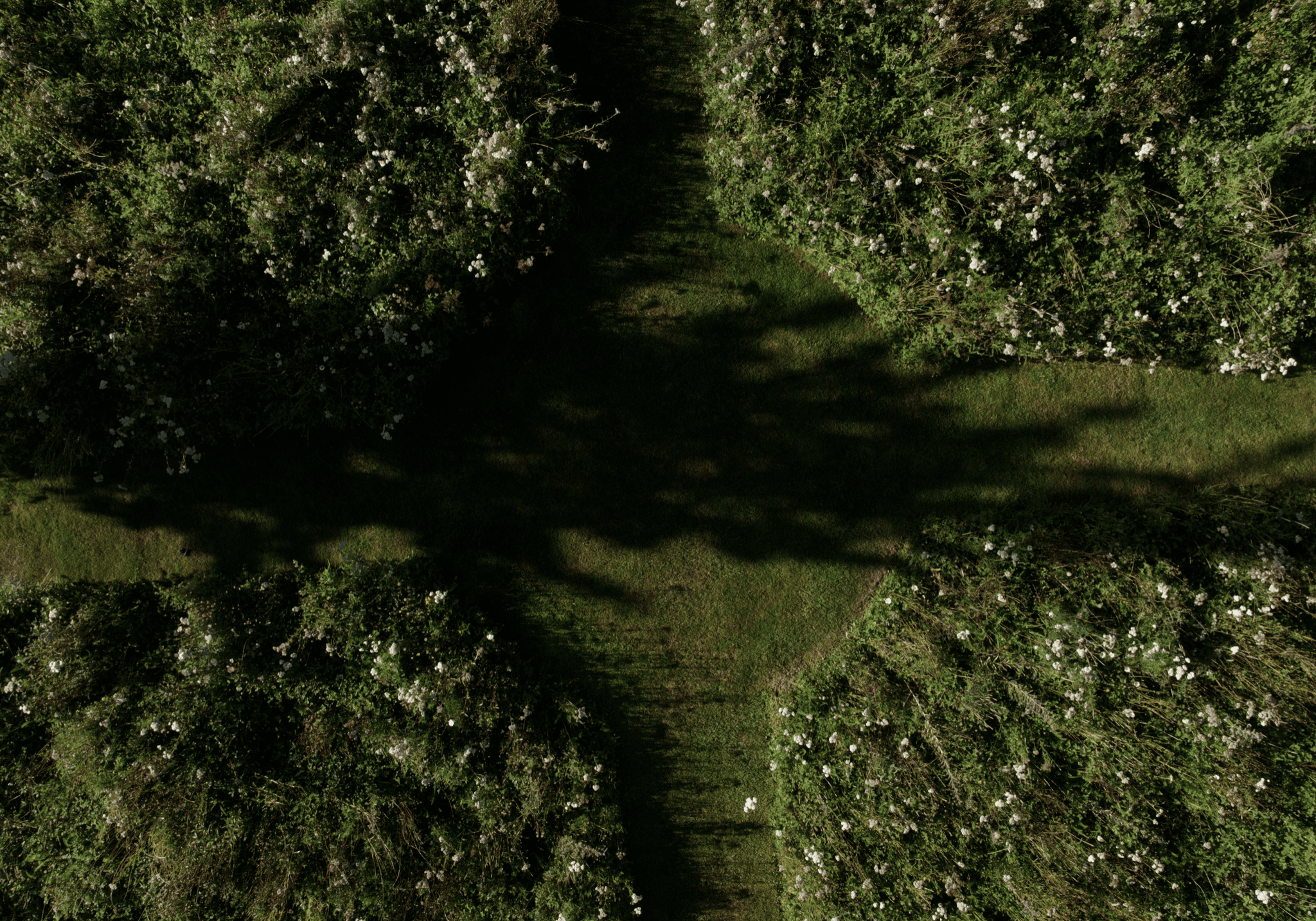PCL Summers lodge Wild flower meadow DJI 0095