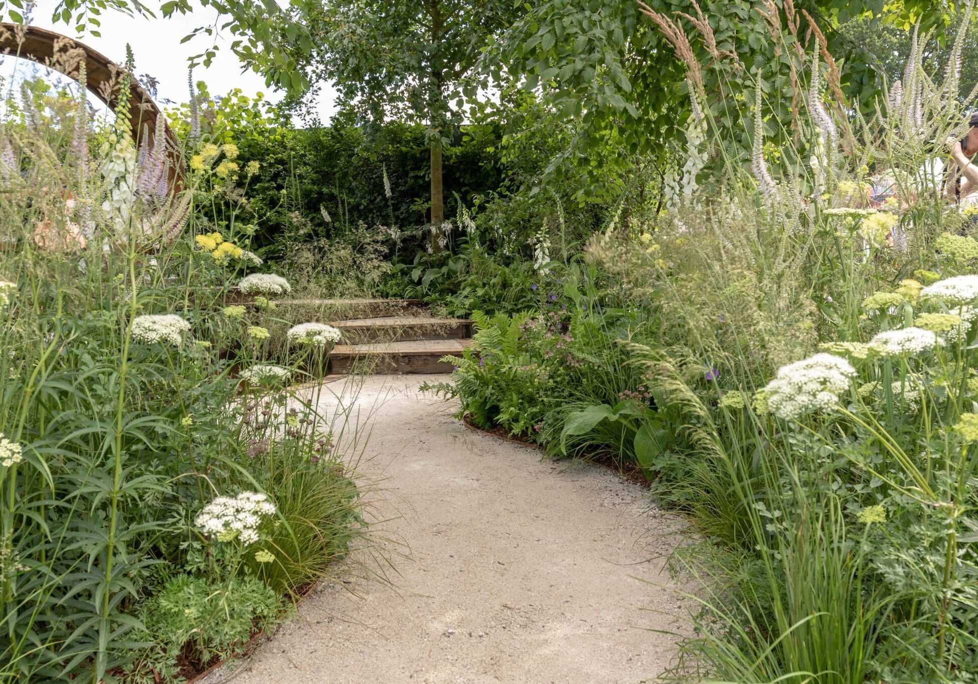 RHS Hampton Court Pause for Thought Garden 2019 31 scaled RHS Hampton Court Pause for Thought Garden 2019 31 scaled
